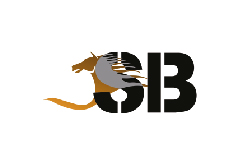 Logo 111 client logo